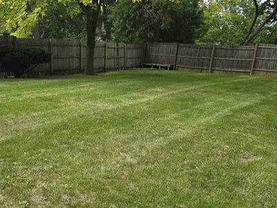 Lawn Care service in Okemos, 48864