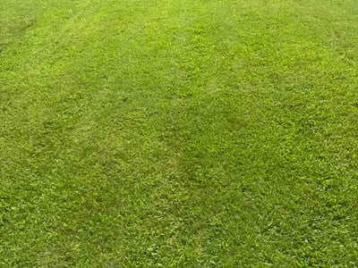 Lawn Care service in Calabasas, 91302