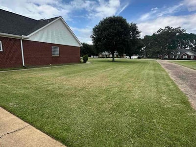 Lawn Care service in Dothan, 36301