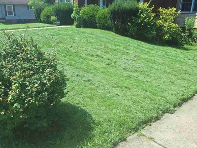 Lawn Care service in Steubenville, 43952