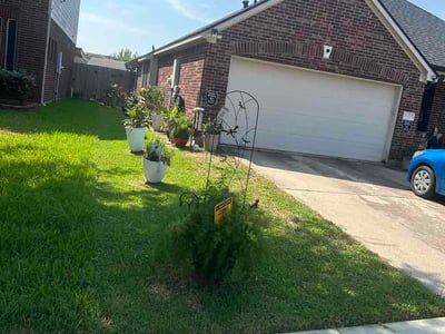 Lawn Care service in Freeport, 77541