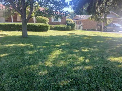 Lawn Care service in Steubenville, 43952