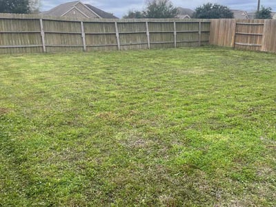 Lawn Care service in Huntington Beach, 92648