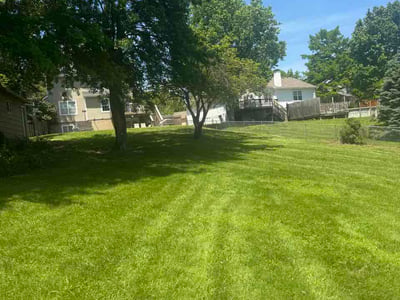 Lawn Care service in Paola, 66071