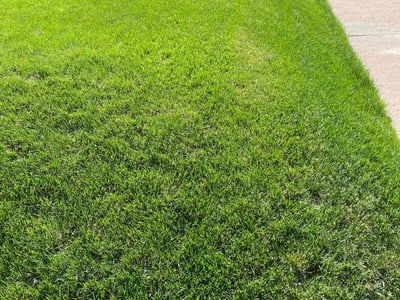Lawn Care service in Fairplay, 80440