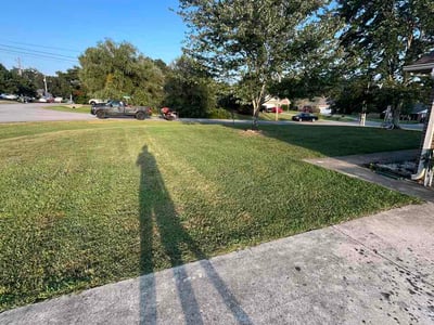 Lawn Care service in Toney, 35773