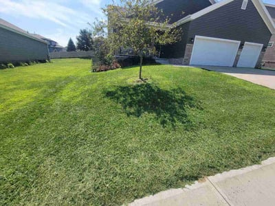 Lawn Care service in Carbondale, 62901