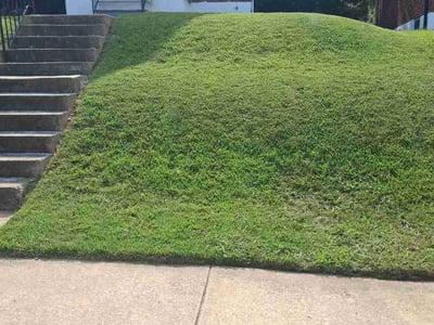 Lawn Care service in Montgomery Village, 20886