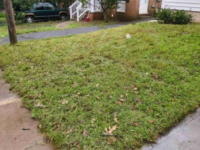 Lawn Care service in Westminster, 92683