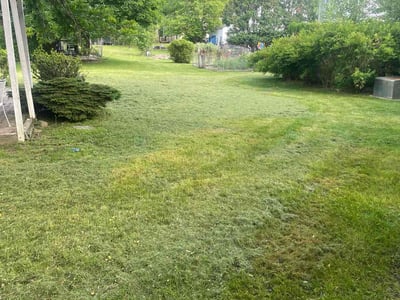 Lawn Care service in Pinckney, 48169