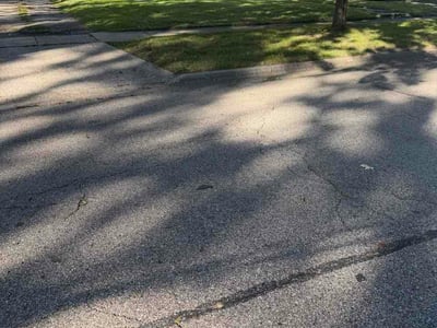 Lawn Care service in Traverse City, 49684