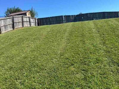 Lawn Care service in Mebane, 27302