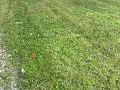 Lawn Care service in Traverse City, 49684