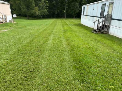 Lawn Care service in Mebane, 27302