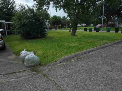 Lawn Care service in Willis, 77378