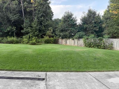 Lawn Care service in Ridgefield, 06877