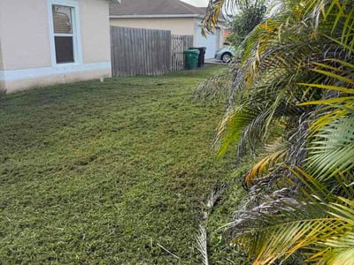 Lawn Care service in Buena Park, 90621