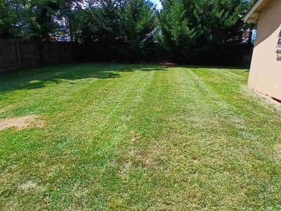 Lawn Care service in Ansonia, 06401