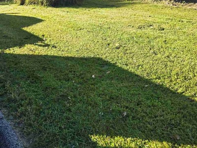 Lawn Care service in Reisterstown, 21136