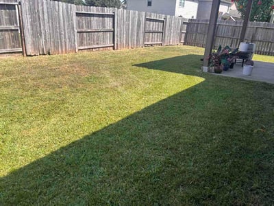 Lawn Care service in Fresno, 77545