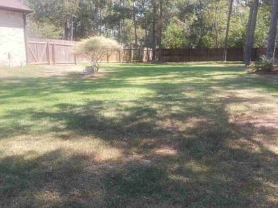 Lawn Care service in Fresno, 77545