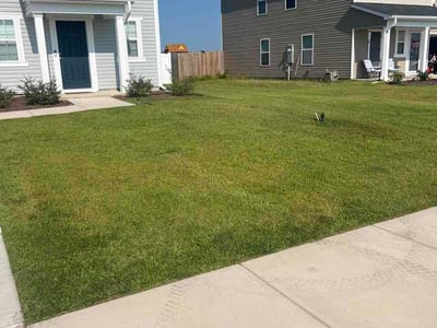 Lawn Care service in Sunset Beach, 28468