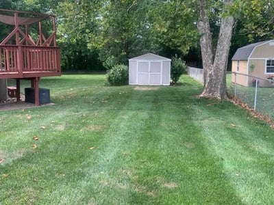 Lawn Care service in Murrysville, 15668