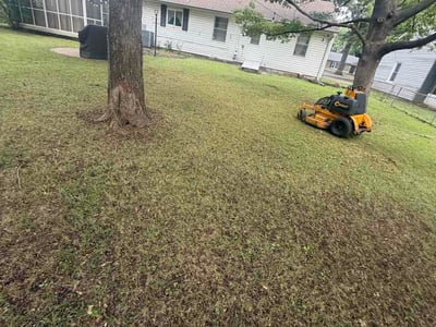 Lawn Care service in Pacific Beach, 92109