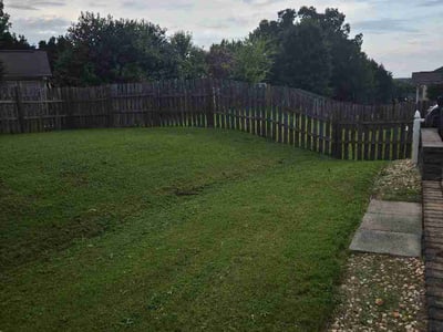 Lawn Care service in Portland, 04101
