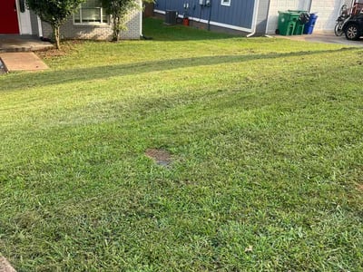 Lawn Care service in Covina, 91723