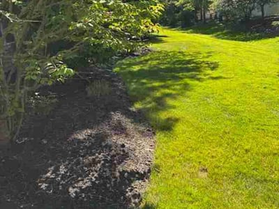 Lawn Care service in Encino, 91316