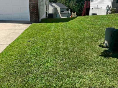 Lawn Care service in Abingdon, 21009
