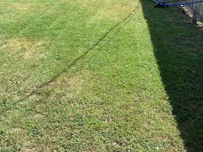 Lawn Care service in Thousand Oaks, 91362