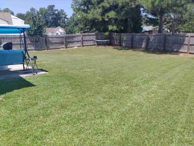Lawn Care service in Cerritos, 90703