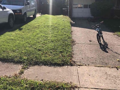 Lawn Care service in Thousand Oaks, 91362