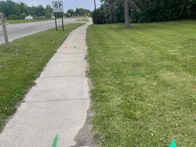 Lawn Care service in Charlotte, 48813