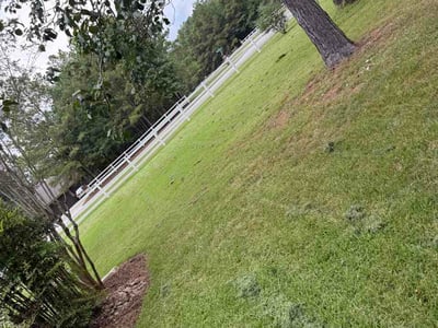 Lawn Care service in Montgomery, 77316