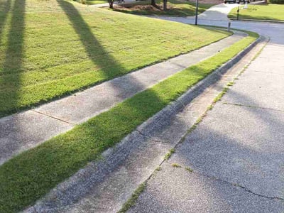 Lawn Care service in Bowling Green, 42101