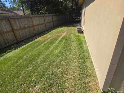 Lawn Care service in Bellaire, 77401