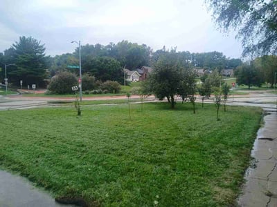 Lawn Care service in Kaysville, 84037