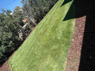 Lawn Care service in Sacramento, 95814