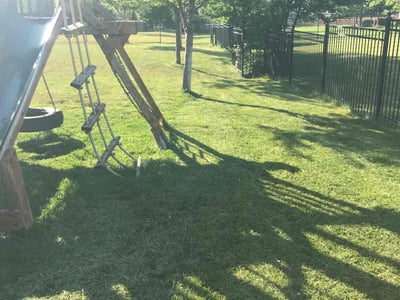 Lawn Care service in Sacramento, 95814