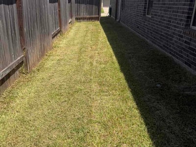 Lawn Care service in Magnolia, 77355