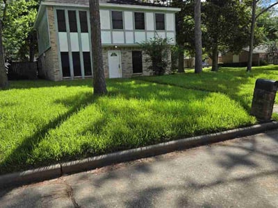 Lawn Care service in Missouri City, 77459