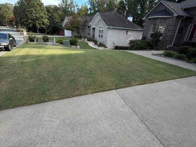 Lawn Care service in ,