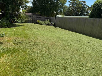 Lawn Care service in Terrell, 75160
