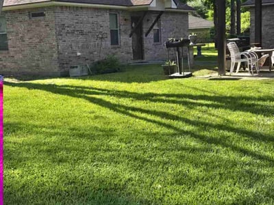 Lawn Care service in Lafayette, 70501