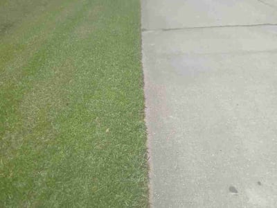 Lawn Care service in Gonzales, 70737