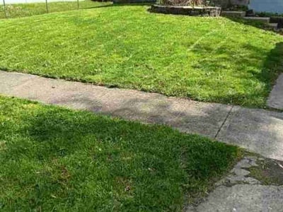 Lawn Care service in Milford, 01757
