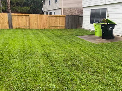 Lawn Care service in Missouri City, 77459